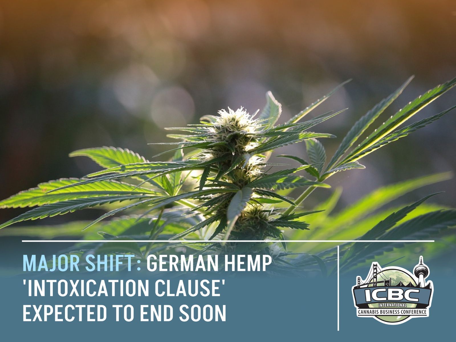 german hemp intoxication clause