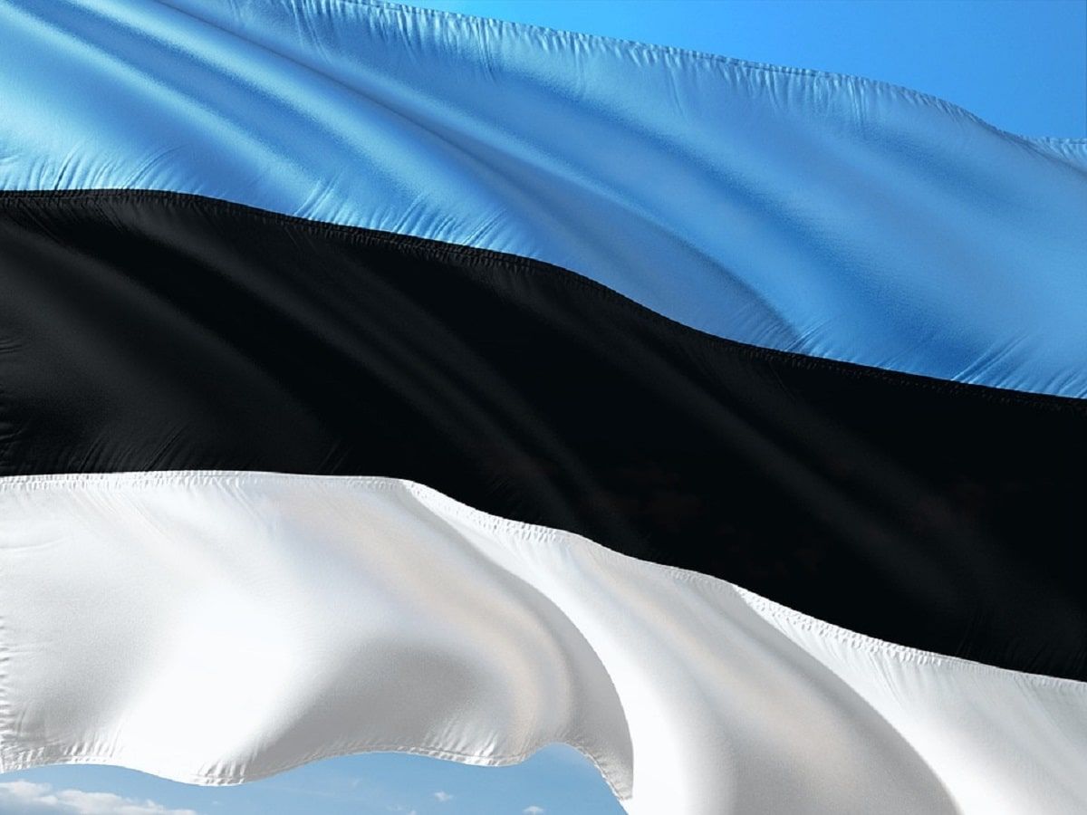 estonia flag estonia flag