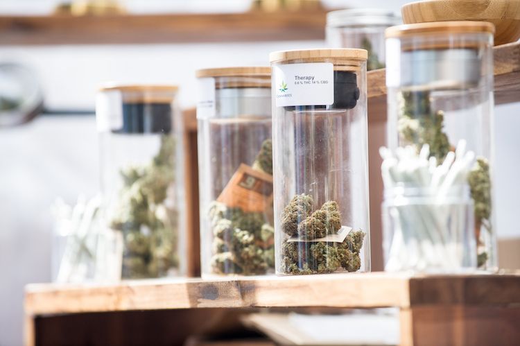 CannaTrade CannaTrade CannaTrade CannaTrade CannaTrade CannaTrade