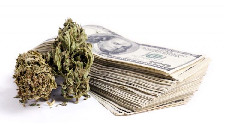 CashMoneyMarijuana CashMoneyMarijuana CashMoneyMarijuana CashMoneyMarijuana CashMoneyMarijuana CashMoneyMarijuana CashMoneyMarijuana CashMoneyMarijuana CashMoneyMarijuana CashMoneyMarijuana CashMoneyMarijuana CashMoneyMarijuana CashMoneyMarijuana CashMoneyMarijuana CashMoneyMarijuana CashMoneyMarijuana CashMoneyMarijuana CashMoneyMarijuana CashMoneyMarijuana CashMoneyMarijuana CashMoneyMarijuana CashMoneyMarijuana CashMoneyMarijuana CashMoneyMarijuana CashMoneyMarijuana CashMoneyMarijuana CashMoneyMarijuana CashMoneyMarijuana CashMoneyMarijuana CashMoneyMarijuana CashMoneyMarijuana CashMoneyMarijuana CashMoneyMarijuana CashMoneyMarijuana CashMoneyMarijuana CashMoneyMarijuana CashMoneyMarijuana CashMoneyMarijuana CashMoneyMarijuana CashMoneyMarijuana CashMoneyMarijuana CashMoneyMarijuana CashMoneyMarijuana CashMoneyMarijuana CashMoneyMarijuana CashMoneyMarijuana CashMoneyMarijuana CashMoneyMarijuana CashMoneyMarijuana CashMoneyMarijuana CashMoneyMarijuana CashMoneyMarijuana CashMoneyMarijuana CashMoneyMarijuana CashMoneyMarijuana CashMoneyMarijuana CashMoneyMarijuana CashMoneyMarijuana CashMoneyMarijuana CashMoneyMarijuana CashMoneyMarijuana CashMoneyMarijuana CashMoneyMarijuana CashMoneyMarijuana CashMoneyMarijuana CashMoneyMarijuana CashMoneyMarijuana CashMoneyMarijuana CashMoneyMarijuana CashMoneyMarijuana CashMoneyMarijuana CashMoneyMarijuana CashMoneyMarijuana CashMoneyMarijuana CashMoneyMarijuana CashMoneyMarijuana CashMoneyMarijuana CashMoneyMarijuana CashMoneyMarijuana CashMoneyMarijuana CashMoneyMarijuana CashMoneyMarijuana CashMoneyMarijuana CashMoneyMarijuana CashMoneyMarijuana CashMoneyMarijuana CashMoneyMarijuana CashMoneyMarijuana CashMoneyMarijuana CashMoneyMarijuana CashMoneyMarijuana CashMoneyMarijuana CashMoneyMarijuana CashMoneyMarijuana CashMoneyMarijuana CashMoneyMarijuana CashMoneyMarijuana CashMoneyMarijuana CashMoneyMarijuana CashMoneyMarijuana CashMoneyMarijuana CashMoneyMarijuana CashMoneyMarijuana CashMoneyMarijuana CashMoneyMarijuana CashMoneyMarijuana