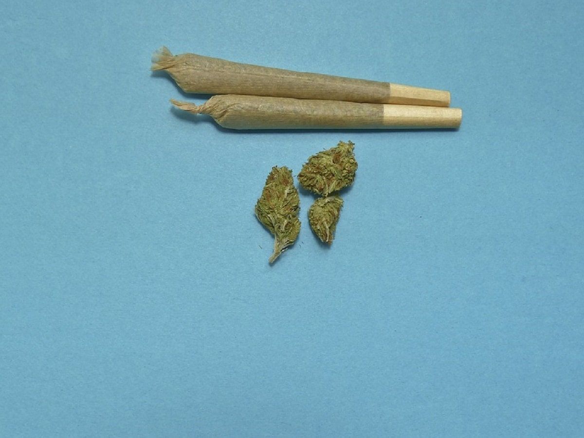 Joints cannabis flower Joints cannabis flower Joints cannabis flower Joints cannabis flower Joints cannabis flower
