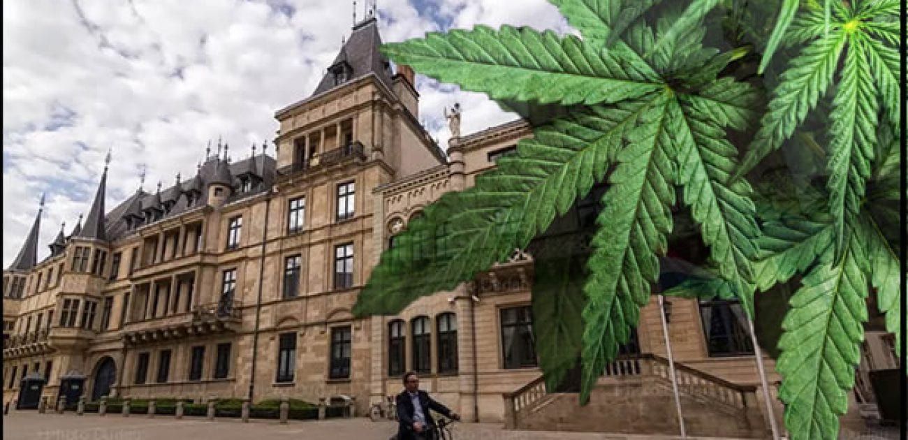 luxembourg-canna-2020-1300x630-min luxembourg-canna-2020-1300x630-min luxembourg-canna-2020-1300x630-min luxembourg-canna-2020-1300x630-min luxembourg-canna-2020-1300x630-min luxembourg-canna-2020-1300x630-min