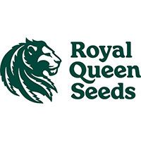 Royal Queen Seeds