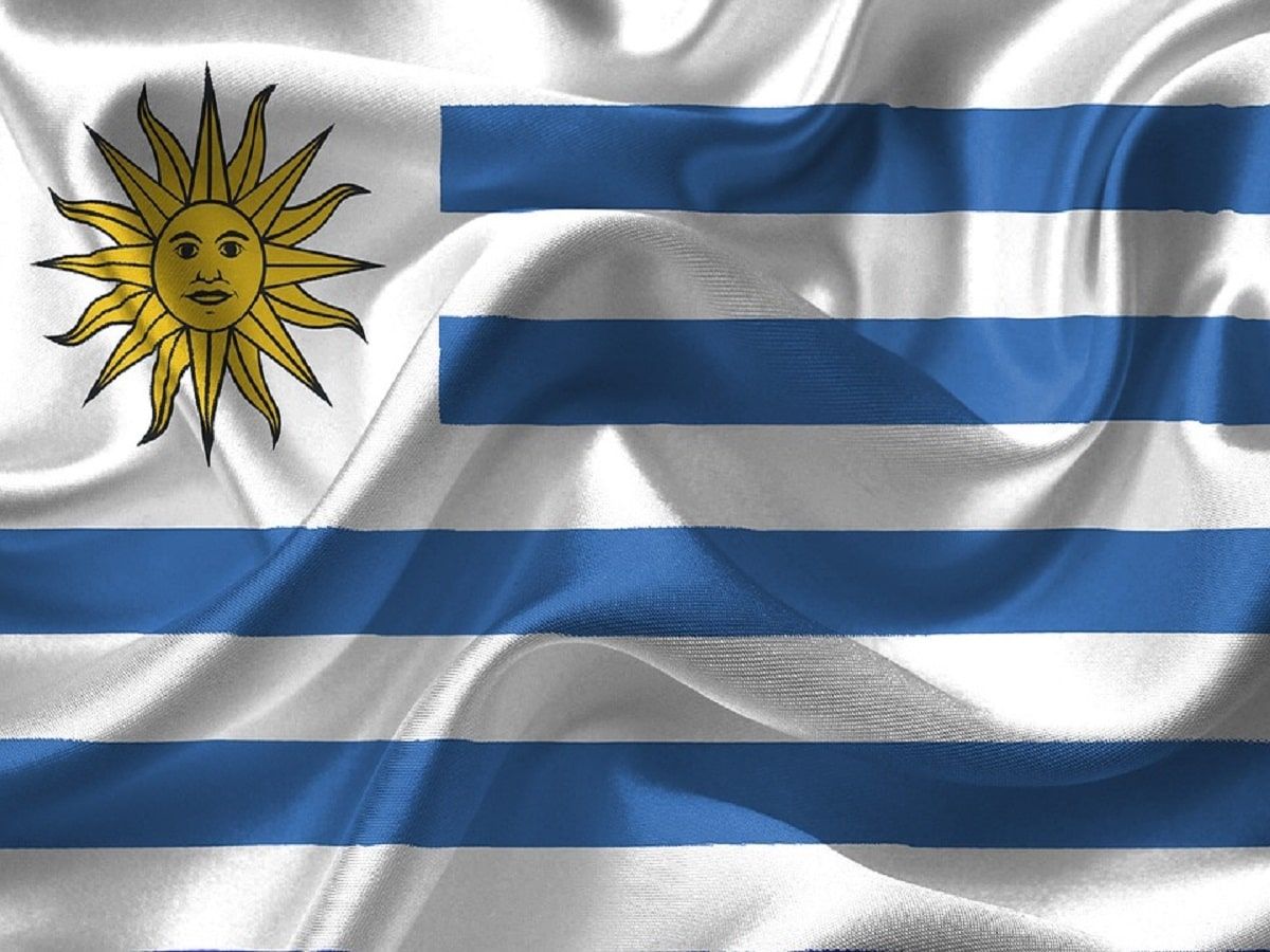 uruguay flag uruguay flag