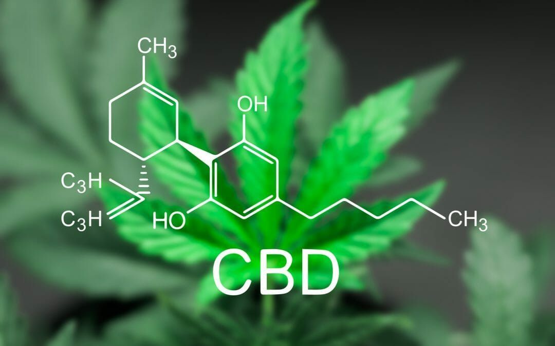 CBD CBD CBD CBD CBD CBD CBD CBD CBD CBD CBD CBD CBD CBD CBD CBD CBD CBD CBD CBD CBD CBD CBD CBD CBD CBD CBD CBD CBD CBD CBD CBD CBD CBD CBD CBD CBD CBD CBD CBD CBD CBD CBD CBD CBD CBD CBD CBD CBD CBD CBD CBD CBD CBD CBD CBD CBD CBD CBD CBD CBD CBD CBD CBD CBD CBD CBD CBD CBD CBD CBD CBD CBD CBD CBD CBD CBD CBD CBD CBD CBD CBD CBD CBD CBD CBD CBD CBD CBD CBD CBD CBD CBD CBD CBD CBD CBD CBD CBD CBD CBD CBD CBD CBD CBD CBD